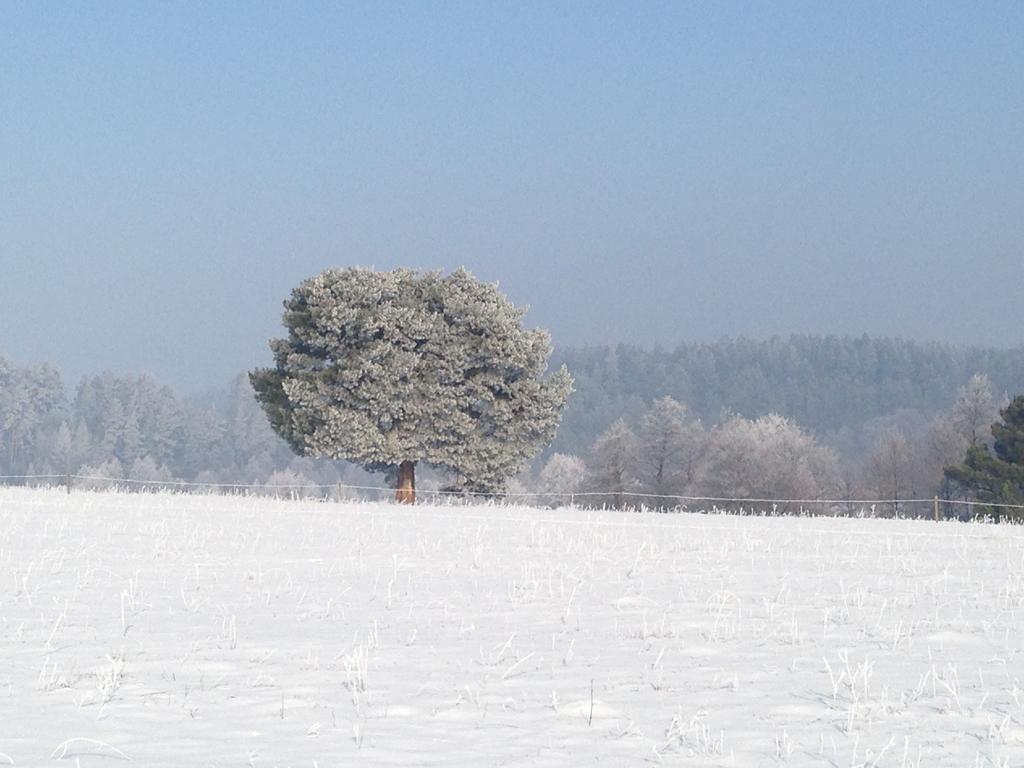 Gospodarstwo Rospuda Bakalarzewo Esterno foto
